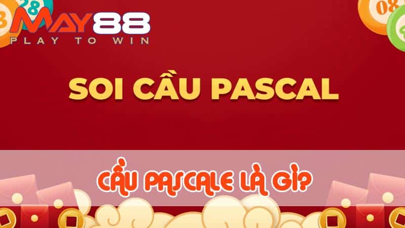 Cầu Pascale là gì và cách sử dụng chi tiết tại May88